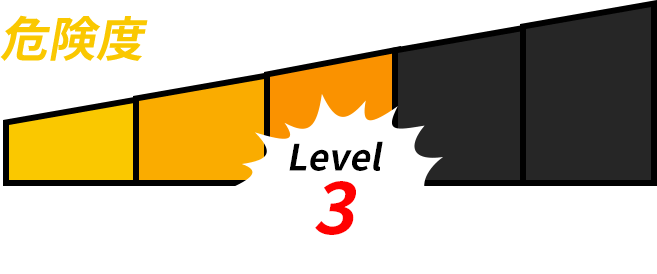 level 3