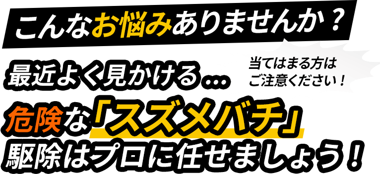 こんなお悩みありませんか？最近よく見かける…危険なスズメバチ駆除はプロに任せましょう！