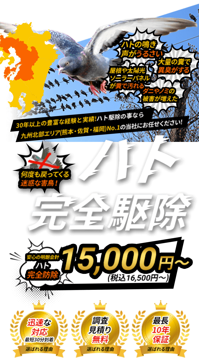 ハト完全駆除　九州北部エリア　熊本・佐賀・福岡