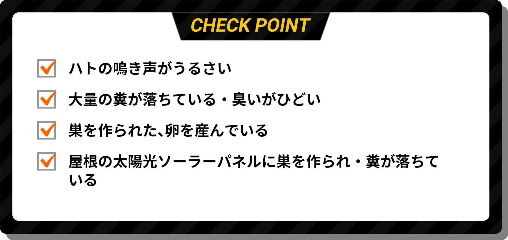 CHECK POINT