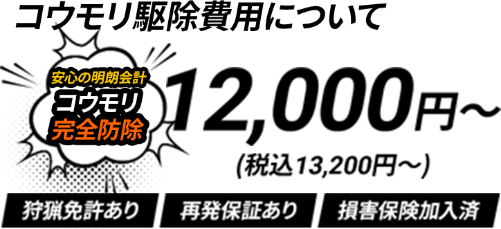 コウモリ駆除費用について12,000円～