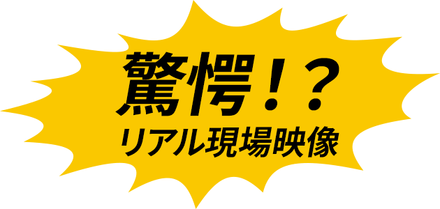 驚愕！？リアル現場映像