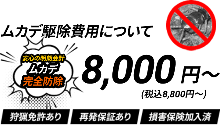 ムカデ駆除費用について/安心の明朗会計/ムカデ完全防除/8,000円～（税込み8,800円～）